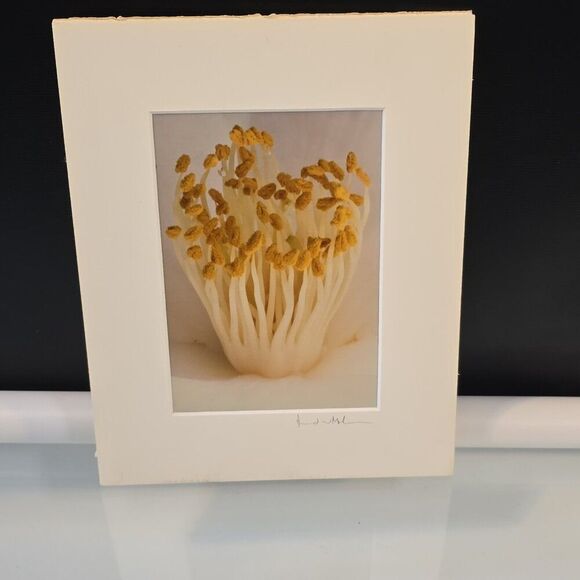 Art Photography David W Martin Signed Numbered 24626 Nature Photography - Picture 1 of 4